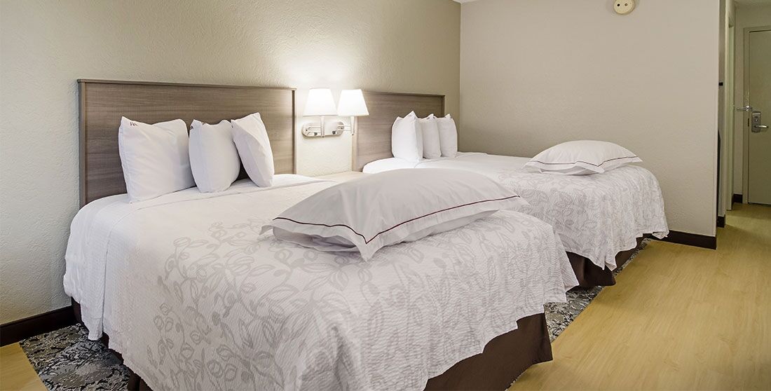 Red Roof Inn Plus Boston - Mansfield - Foxboro Εξωτερικό φωτογραφία